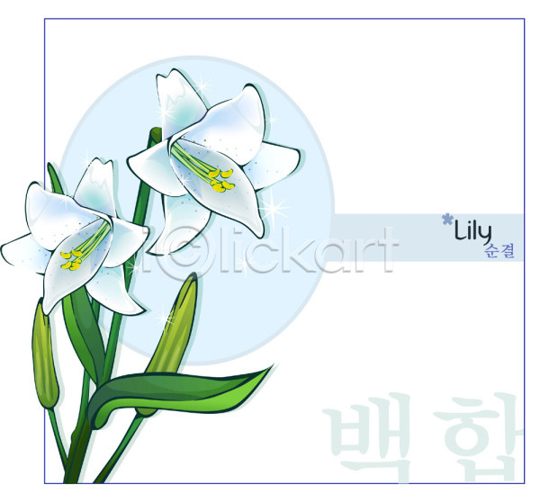 사람없음 EPS 일러스트 템플릿 꽃 꽃백그라운드 백그라운드 백합(꽃) 식물 여름꽃 자연 흰색