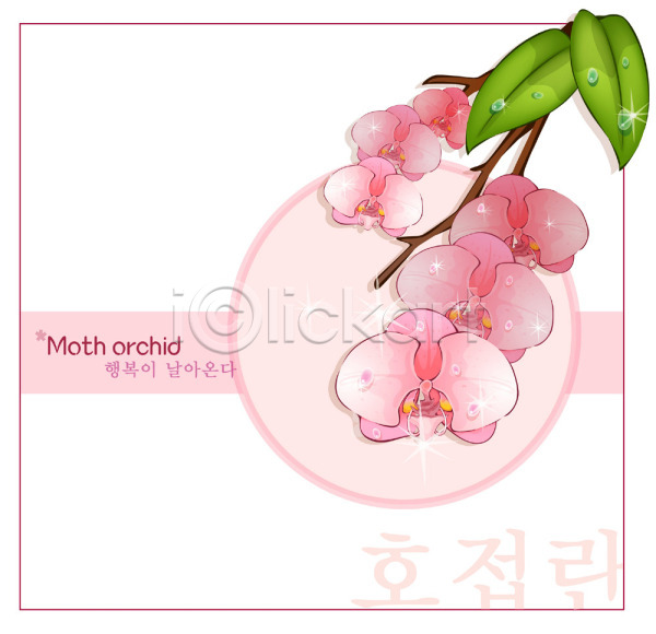 사람없음 EPS 일러스트 템플릿 꽃 꽃백그라운드 난초 백그라운드 분홍색 식물 자연 호접란