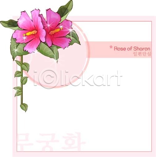 사람없음 EPS 일러스트 템플릿 가을꽃 꽃 꽃백그라운드 무궁화 백그라운드 분홍색 식물 자연