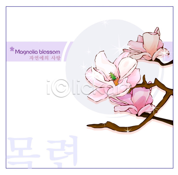 사람없음 EPS 일러스트 템플릿 꽃 꽃백그라운드 목련 백그라운드 봄꽃 분홍색 식물 자연