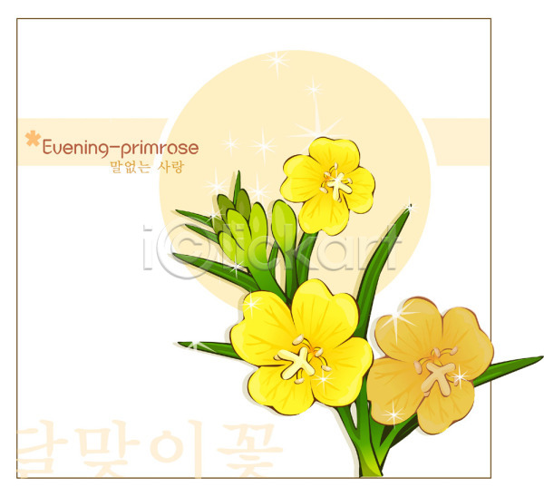 사람없음 EPS 일러스트 템플릿 꽃 꽃백그라운드 노란색 달맞이꽃 백그라운드 식물 여름꽃 자연 컬러