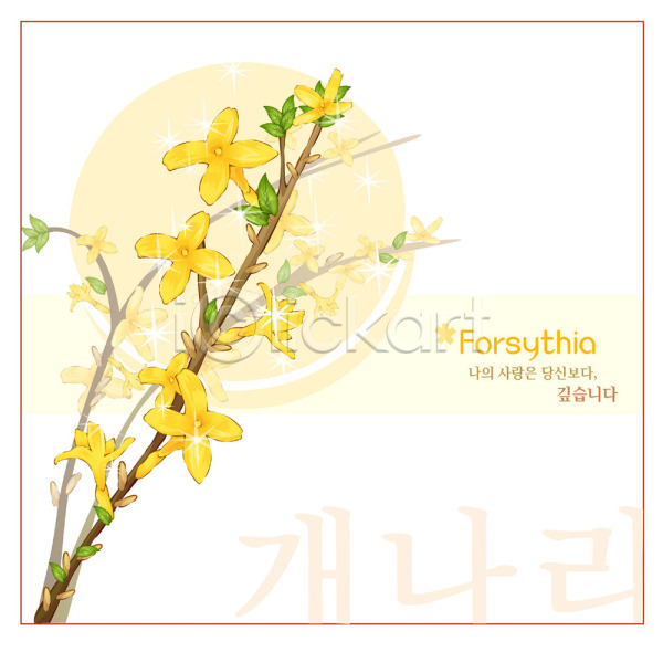 사람없음 EPS 일러스트 템플릿 개나리 꽃 꽃백그라운드 노란색 백그라운드 봄꽃 식물 자연 컬러