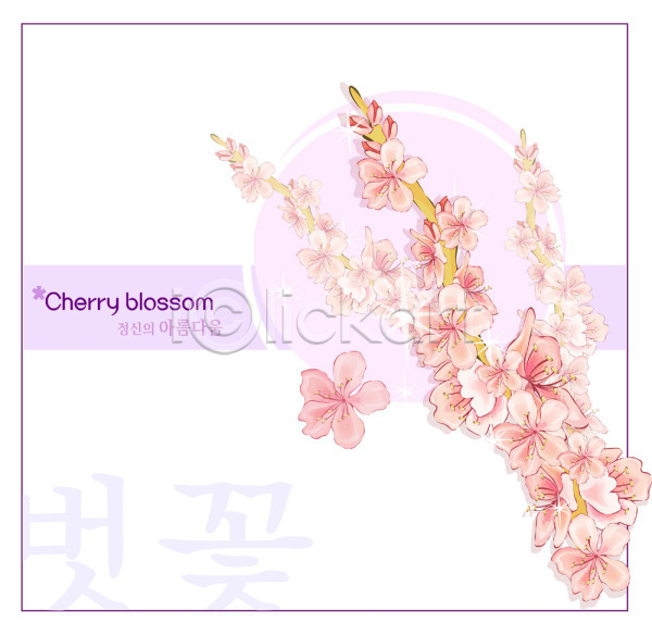 사람없음 EPS 일러스트 템플릿 꽃 꽃말 꽃백그라운드 백그라운드 벚꽃 봄꽃 분홍색 식물 자연