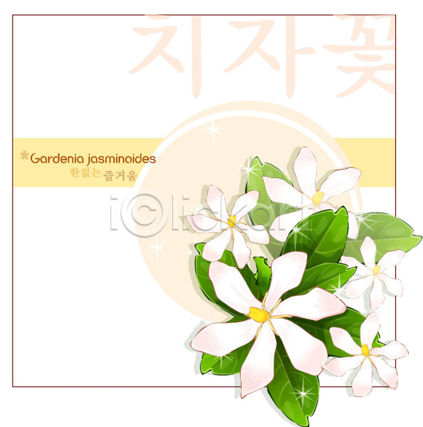사람없음 EPS 일러스트 템플릿 꽃 꽃백그라운드 백그라운드 식물 여름꽃 자연 치자 치자꽃 치자나무 흰색