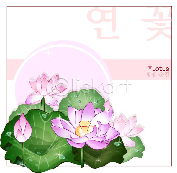 사람없음 EPS 일러스트 템플릿 꽃 꽃말 꽃백그라운드 백그라운드 분홍색 식물 여름꽃 연꽃(꽃) 자연