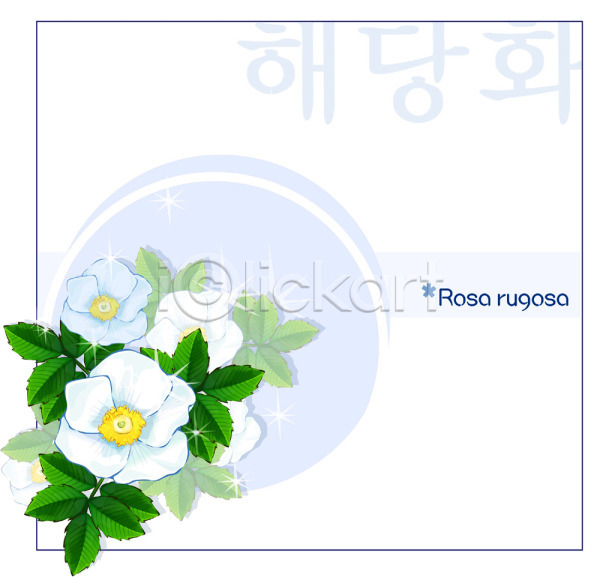 사람없음 EPS 일러스트 템플릿 꽃 꽃말 꽃백그라운드 백그라운드 봄꽃 식물 자연 해당화 흰색