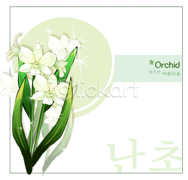 사람없음 EPS 일러스트 템플릿 꽃 꽃말 꽃백그라운드 난초 백그라운드 식물 자연 흰색