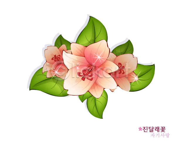 사람없음 EPS 일러스트 꽃 봄꽃 분홍색 식물 자연 진달래 철쭉