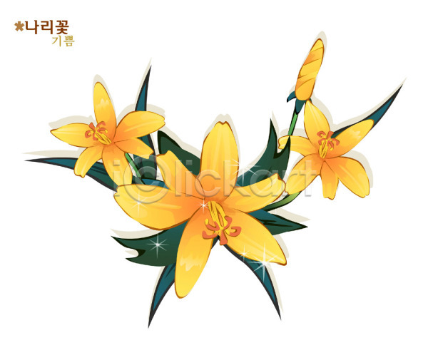 사람없음 EPS 일러스트 꽃 나리 나리꽃 노란색 백합(꽃) 식물 여름꽃 자연 컬러
