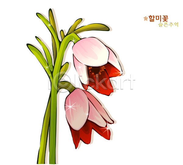 사람없음 EPS 일러스트 꽃 들꽃 봄꽃 빨간색 식물 자연 컬러 할미꽃
