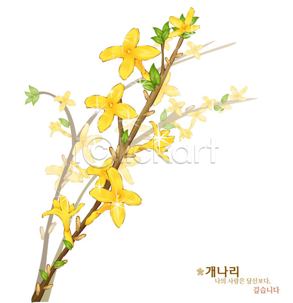 사람없음 EPS 일러스트 개나리 꽃 노란색 봄꽃 식물 자연 컬러