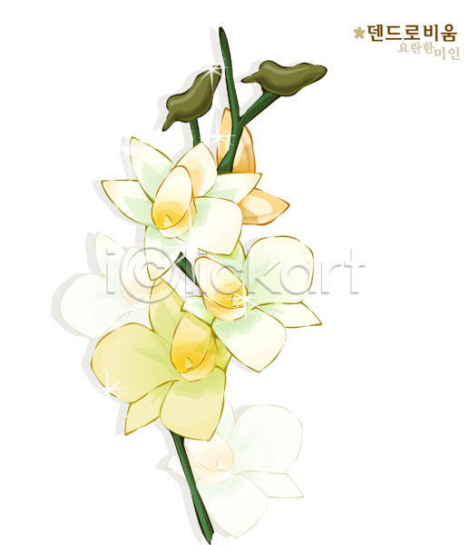 사람없음 EPS 일러스트 꽃 꽃말 덴드로비움 식물 자연 흰색
