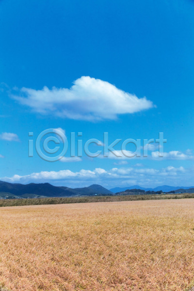 사람없음 JPG 포토 구름(자연) 백그라운드 산 야외 자연 주간 초원(자연) 풍경(경치) 하늘