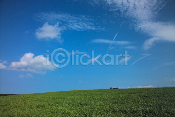 사람없음 JPG 포토 관찰 구름(자연) 배경화면 백그라운드 야외 자연 주간 초원(자연) 풍경(경치) 하늘