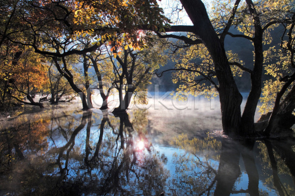 사람없음 JPG 포토 가을(계절) 강 계절 나무 반사 배경화면 백그라운드 사계절 산 수면 숲 식물 야외 여러그루 자연 주간 풍경(경치) 호수