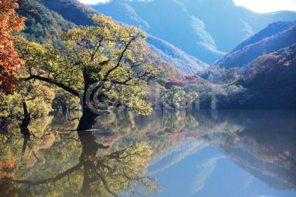 사람없음 JPG 포토 가을(계절) 강 계절 나무 반사 배경화면 백그라운드 사계절 산 수면 숲 식물 야외 자연 주간 풍경(경치) 호수