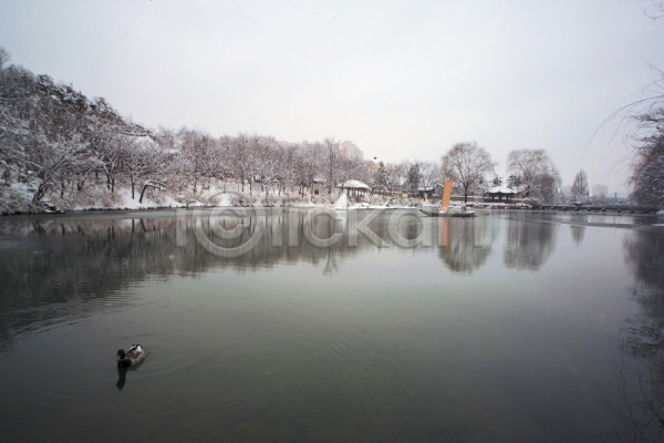 사람없음 JPG 포토 겨울 계절 나무 눈(날씨) 사계절 설경 야외 자연 자연요소 주간 풍경(경치) 호수