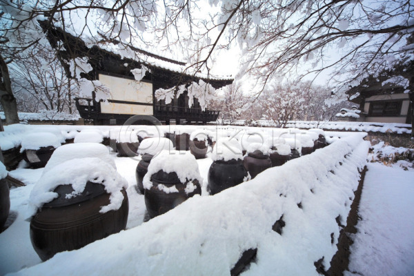 사람없음 JPG 근접촬영 포토 건축 겨울 계절 고건축 기와집 나무 눈(날씨) 백그라운드 사계절 식물 야외 자연 주간 풍경(경치) 한국 항아리