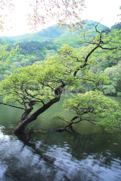 사람없음 JPG 포토 강 계절 나무 사계절 산 숲 식물 야외 여름(계절) 자연 주간 풍경(경치) 하늘 호수