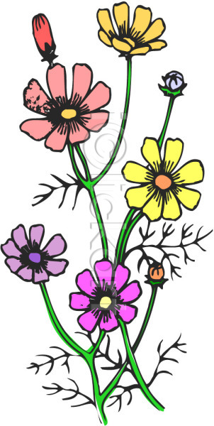 사람없음 EPS 아이콘 가을꽃 꽃 식물 자연 컬러풀 코스모스(꽃)