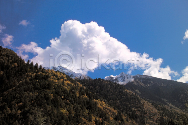 사람없음 JPG 로우앵글 포토 구름(자연) 나무 백그라운드 산 야외 자연요소 주간 풍경(경치) 하늘
