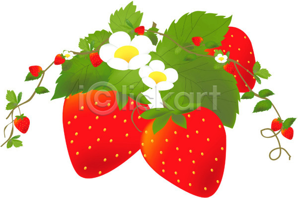 사람없음 EPS 일러스트 과일 농작물 딸기 봄 식물 음식 클립아트