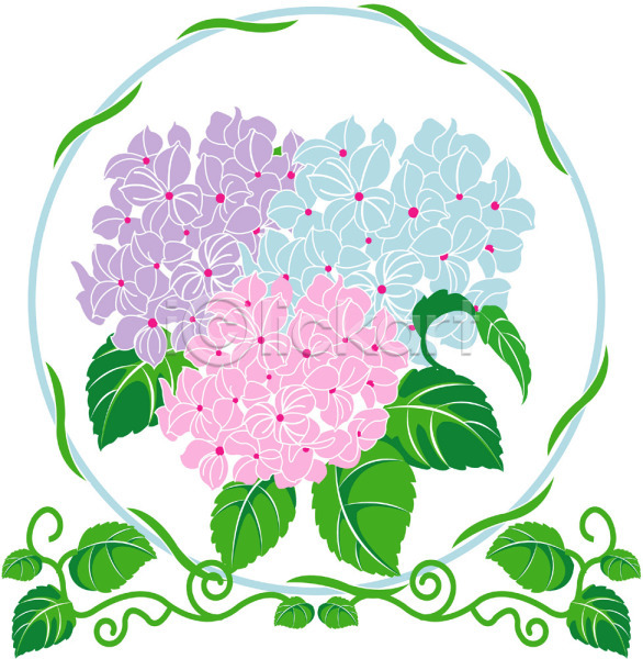 사람없음 EPS 일러스트 계절 꽃 봄 사계절 수국 식물 여름꽃 자연 클립아트