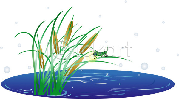 사람없음 EPS 일러스트 귀뚜라미 백그라운드 식물 연못 자연 클립아트 풀(식물) 풀잎 풍경(경치)