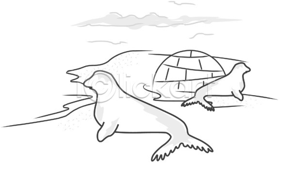 추위 사람없음 EPS 일러스트 극지방 남극 동물 두마리 물개 바다 바다동물 바다표범 야생동물 야외 외국문화 이글루 자연 척추동물 클립아트 포유류