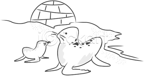 사람없음 EPS 일러스트 극지방 남극 동물 두마리 물개 바다 바다동물 바다표범 야생동물 야외 외국문화 이글루 자연 척추동물 클립아트 포유류