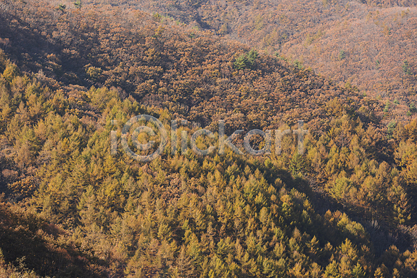 사람없음 JPG 포토 가을(계절) 가을풍경 산 야외 자연 정선 주간
