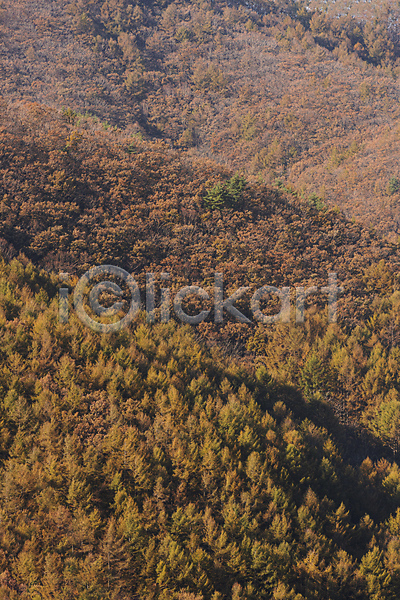 사람없음 JPG 포토 가을(계절) 가을풍경 산 야외 자연 정선 주간