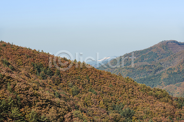 사람없음 JPG 포토 가을(계절) 가을풍경 산 야외 자연 정선 주간 하늘