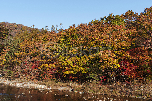 사람없음 JPG 포토 가을(계절) 가을풍경 강 단풍나무 야외 오대산 자연 주간 평창 하늘