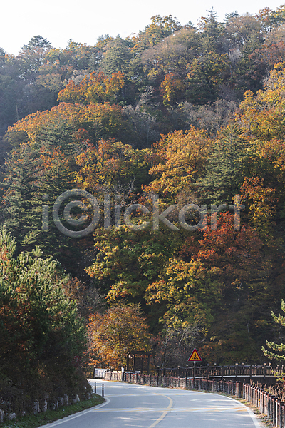 사람없음 JPG 포토 가을(계절) 가을풍경 단풍나무 도로 도로표시판 도로표지판 야외 오대산 울타리 주간 평창