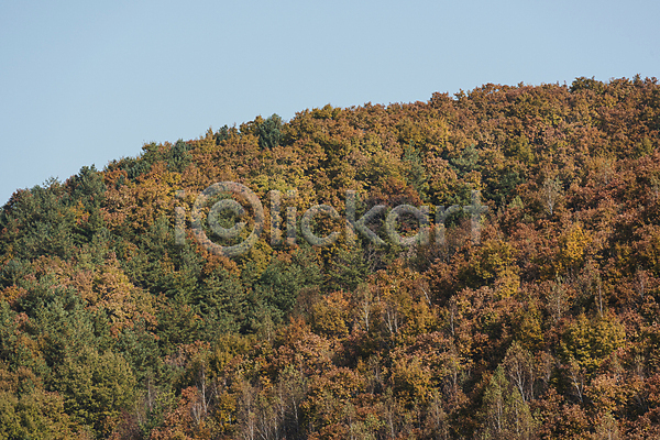 사람없음 JPG 포토 가을(계절) 가을풍경 야외 오대산 자연 주간 평창 하늘