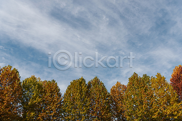 사람없음 JPG 포토 가을(계절) 가을풍경 구름(자연) 단풍나무 야외 주간 청남대 청주(지역) 하늘