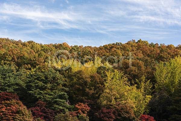 사람없음 JPG 포토 가을(계절) 가을풍경 구름(자연) 단풍나무 맑음 산 야외 주간 청남대 청주(지역) 하늘