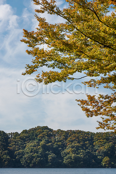 사람없음 JPG 포토 가을(계절) 가을풍경 구름(자연) 나무 나뭇잎 대청호 야외 주간 청남대 청주(지역) 하늘