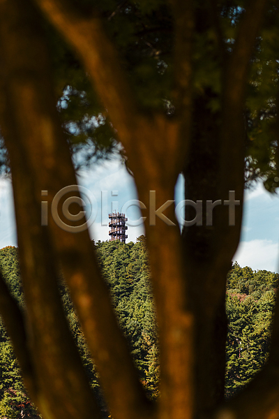 사람없음 JPG 소프트포커스 포토 가을(계절) 가을풍경 나무 야외 주간 청남대 청주(지역) 탑
