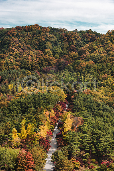 사람없음 JPG 포토 가을(계절) 가을풍경 구름(자연) 나무 단풍나무 도로 야외 울창 주간 청남대 청주(지역) 하늘
