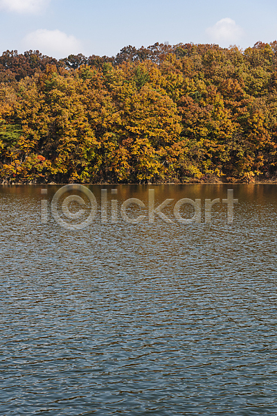 사람없음 JPG 포토 가을(계절) 가을풍경 단풍나무 대청호 산 야외 옥천 울창 자연 주간 하늘