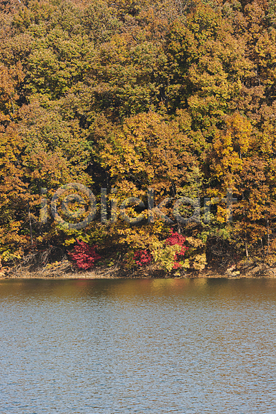 사람없음 JPG 포토 가을(계절) 가을풍경 단풍 단풍나무 대청호 산 야외 옥천 자연 주간
