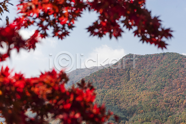 사람없음 JPG 소프트포커스 포토 가을(계절) 가을풍경 단풍 산 야외 옥천 자연 주간 하늘