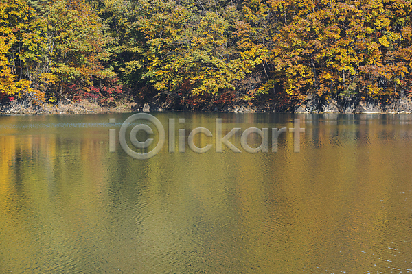 사람없음 JPG 포토 가을(계절) 가을풍경 나무 대청호 반사 야외 옥천 주간 호수