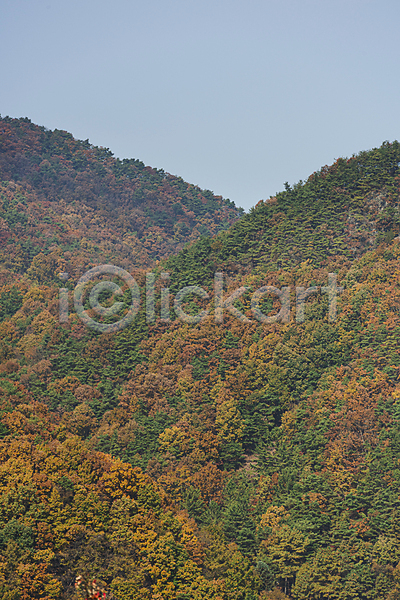 사람없음 JPG 포토 가을(계절) 가을풍경 산 야외 옥천 자연 주간 하늘
