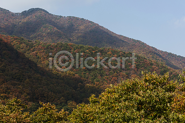 사람없음 JPG 포토 가을(계절) 가을풍경 나무 산 야외 옥천 자연 주간 하늘