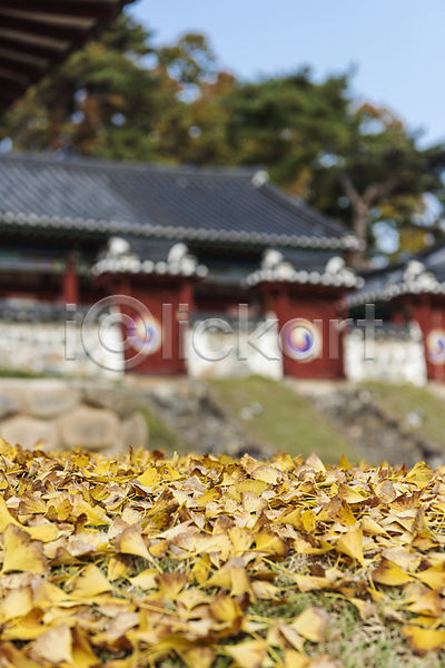 사람없음 JPG 아웃포커스 포토 가을(계절) 가을풍경 낙엽 야외 옥천 옥천향교 주간 한옥 향교