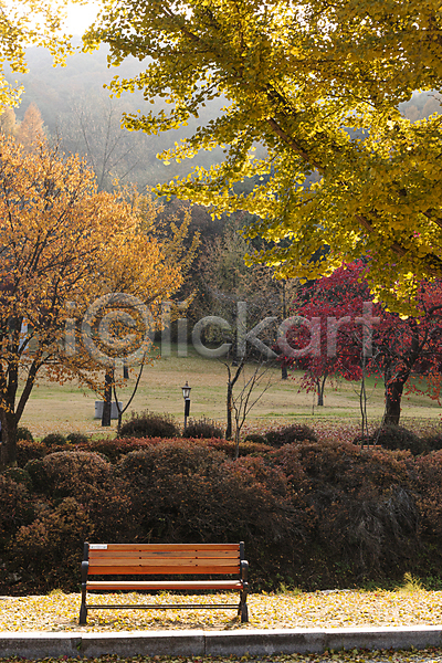 사람없음 JPG 포토 가을(계절) 가을풍경 단풍나무 배론성지 벤치 야외 은행나무 제천 주간