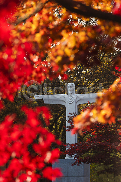 사람없음 JPG 소프트포커스 포토 가을(계절) 가을풍경 단풍 동상 배론성지 야외 예수상 제천 주간